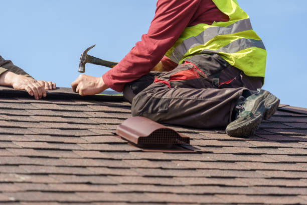 Best Roof Gutter Cleaning  in Boulevard Park, WA