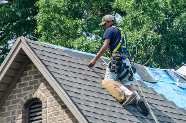 Best Flat Roof Repair Services  in Boulevard Park, WA